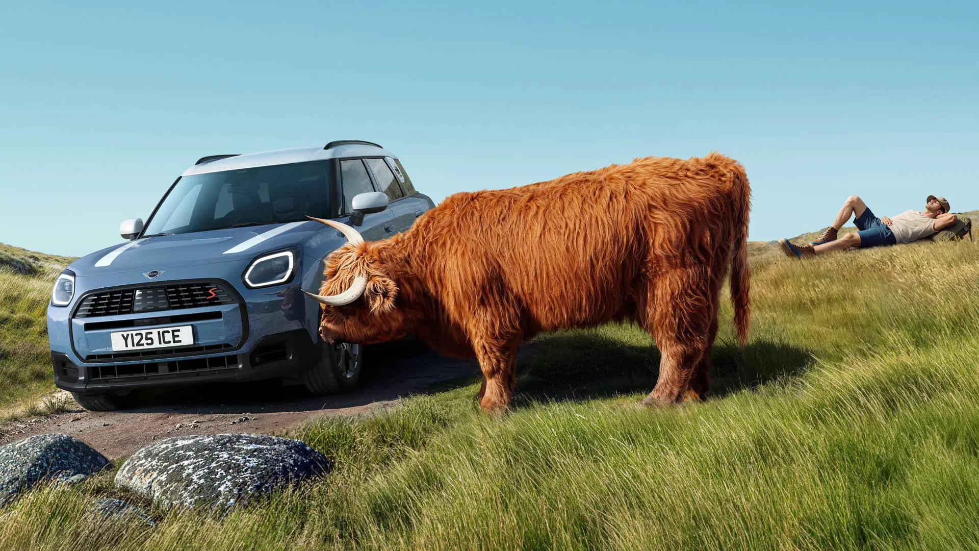 Ein MINI Countryman fährt an einer Kuh vorbei, die friedlich in der Nähe grast. Mit Proactive Care kümmern wir uns um alle Fragen und Probleme, Sie genießen die Fahrt.